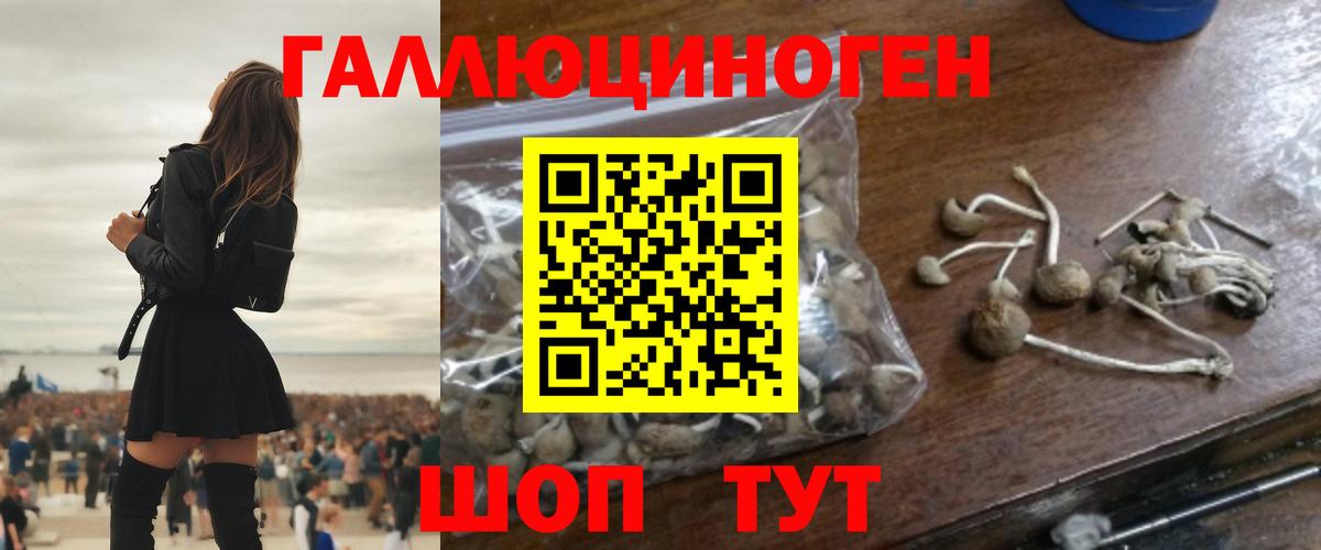 Новоалтайск  Галлюциногенные грибы MAGIC MUSHROOMS  Вход с VPN  Галлюциногенные грибы MAGIC MUSHROOMS 